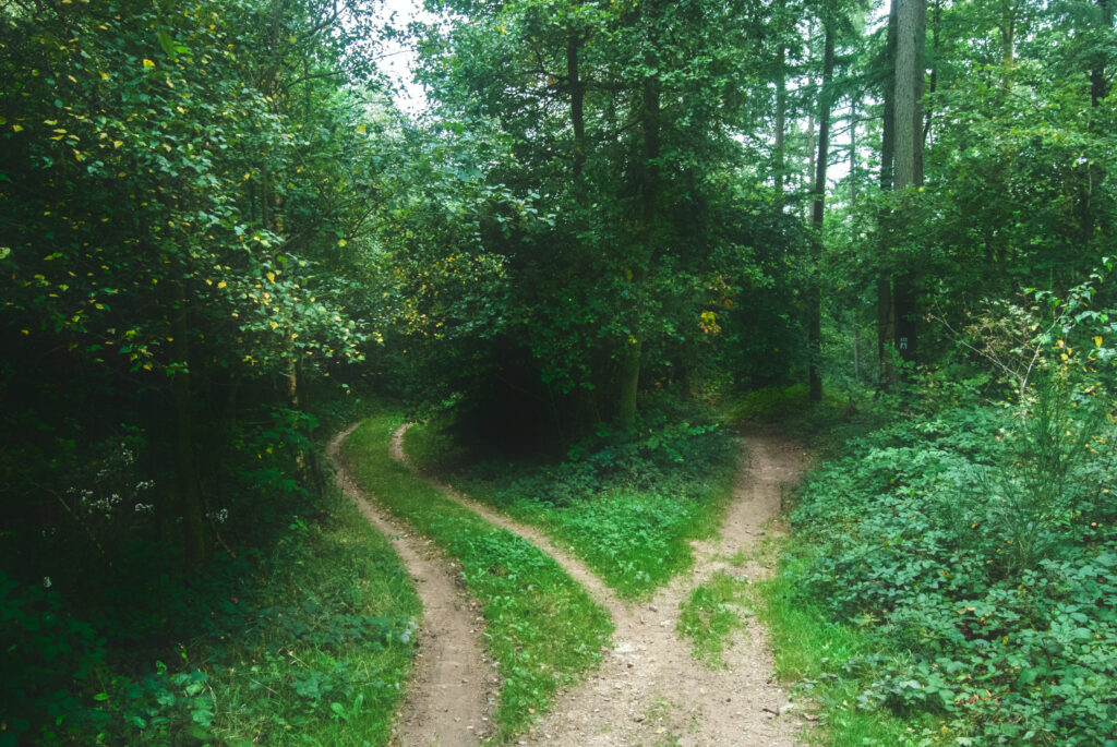 fork in the road