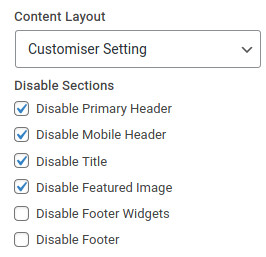 Astra per-page theme options.