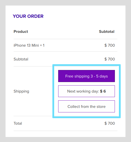 WooCommerce shipping method options as a radio pills